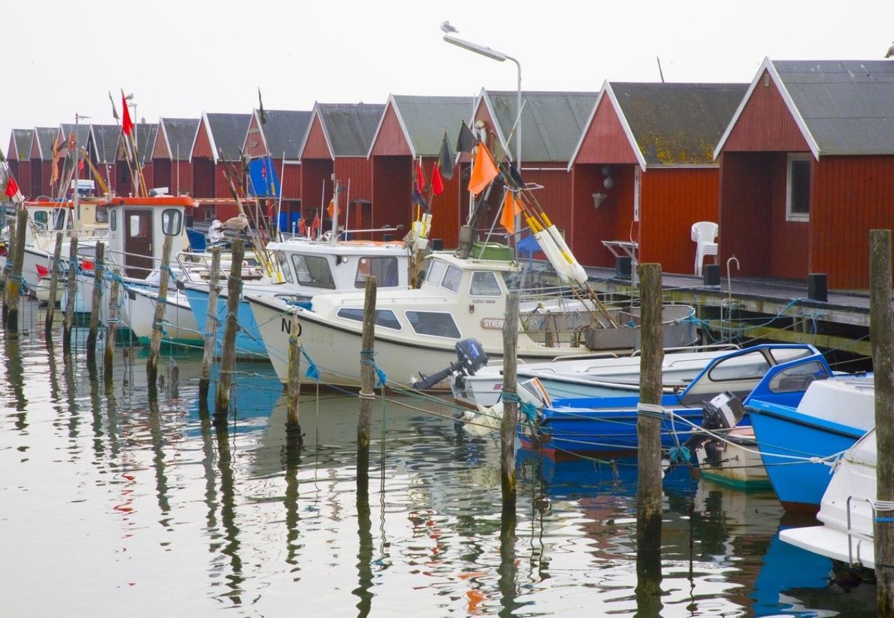 Omgeving