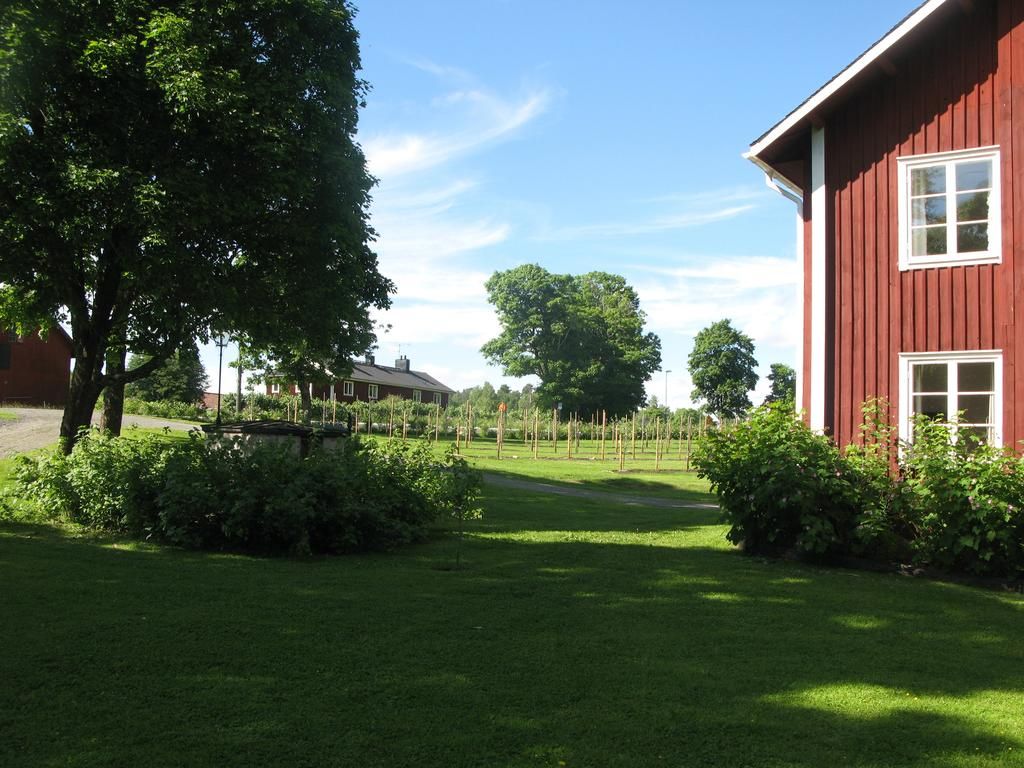 Omgeving