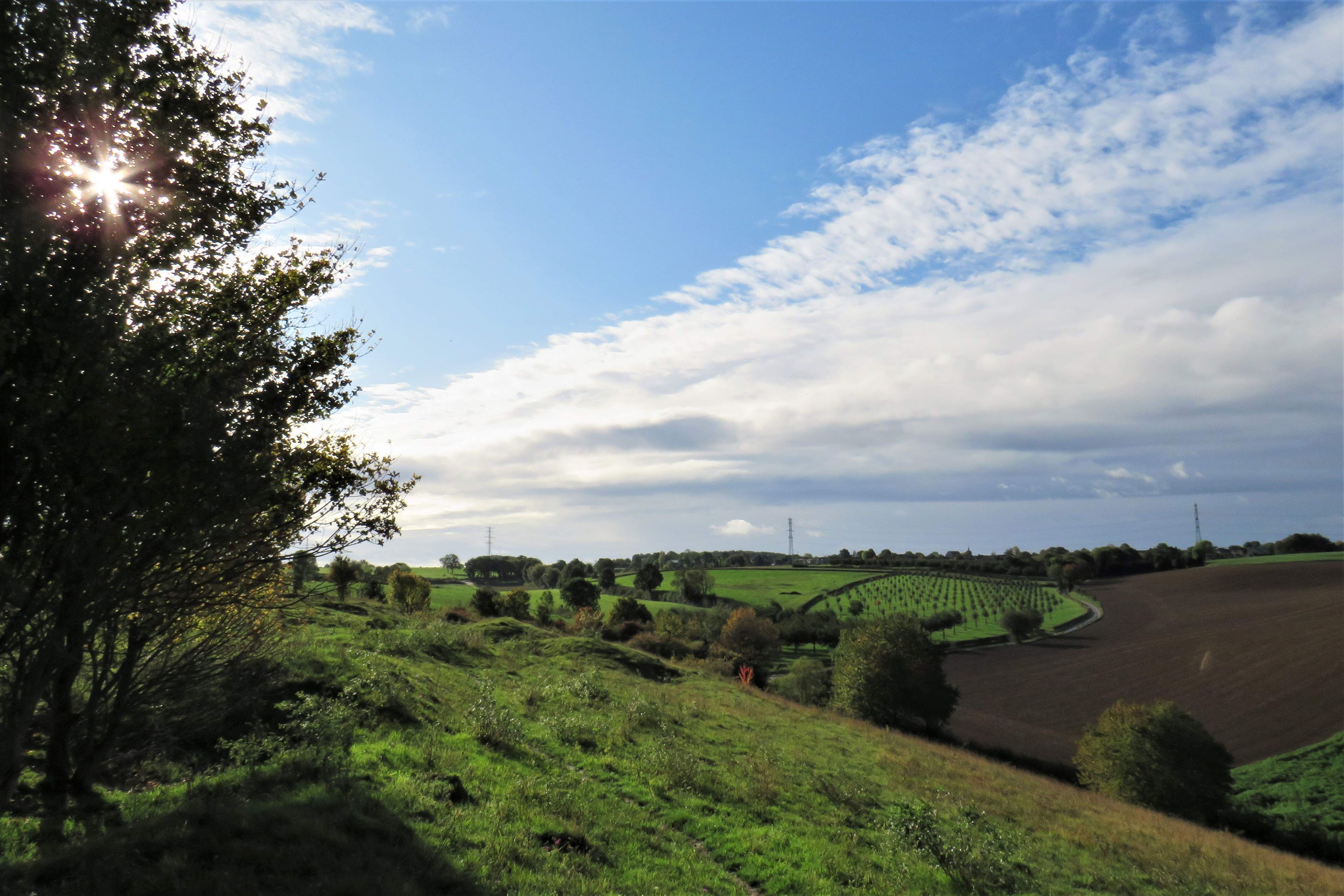 Omgeving