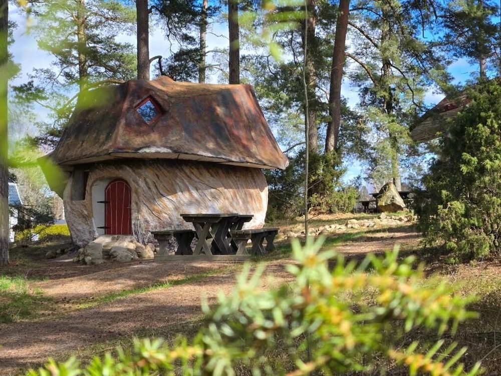 afbeelding van Familie boomhut