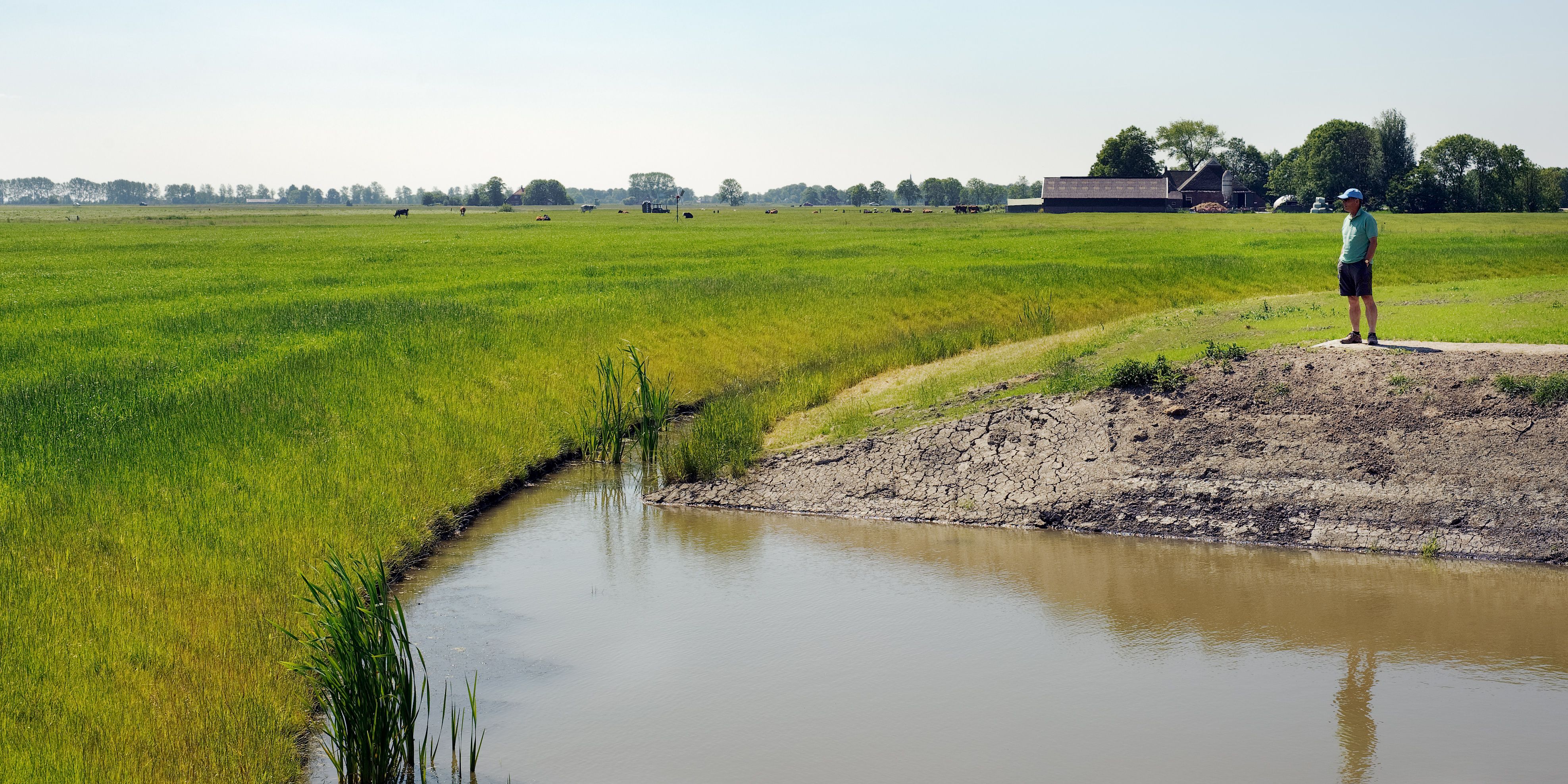Omgeving