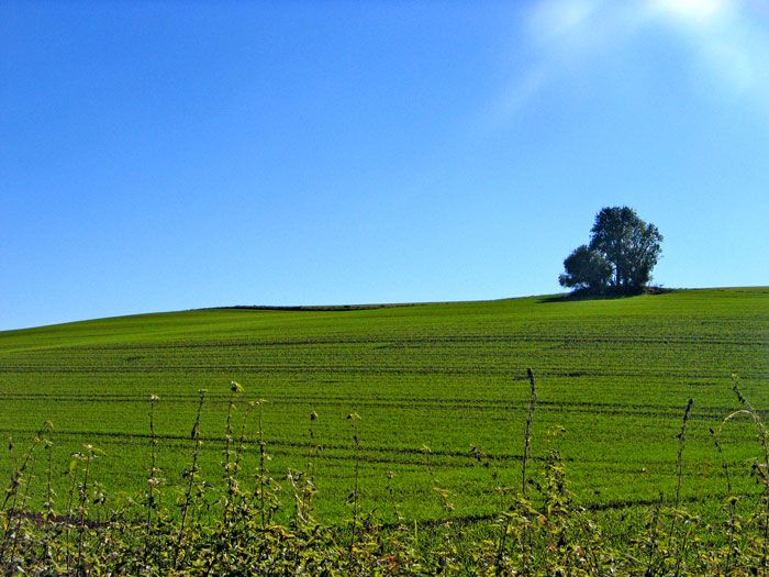 Omgeving