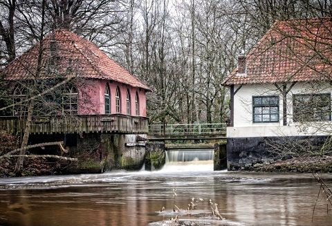 Omgeving