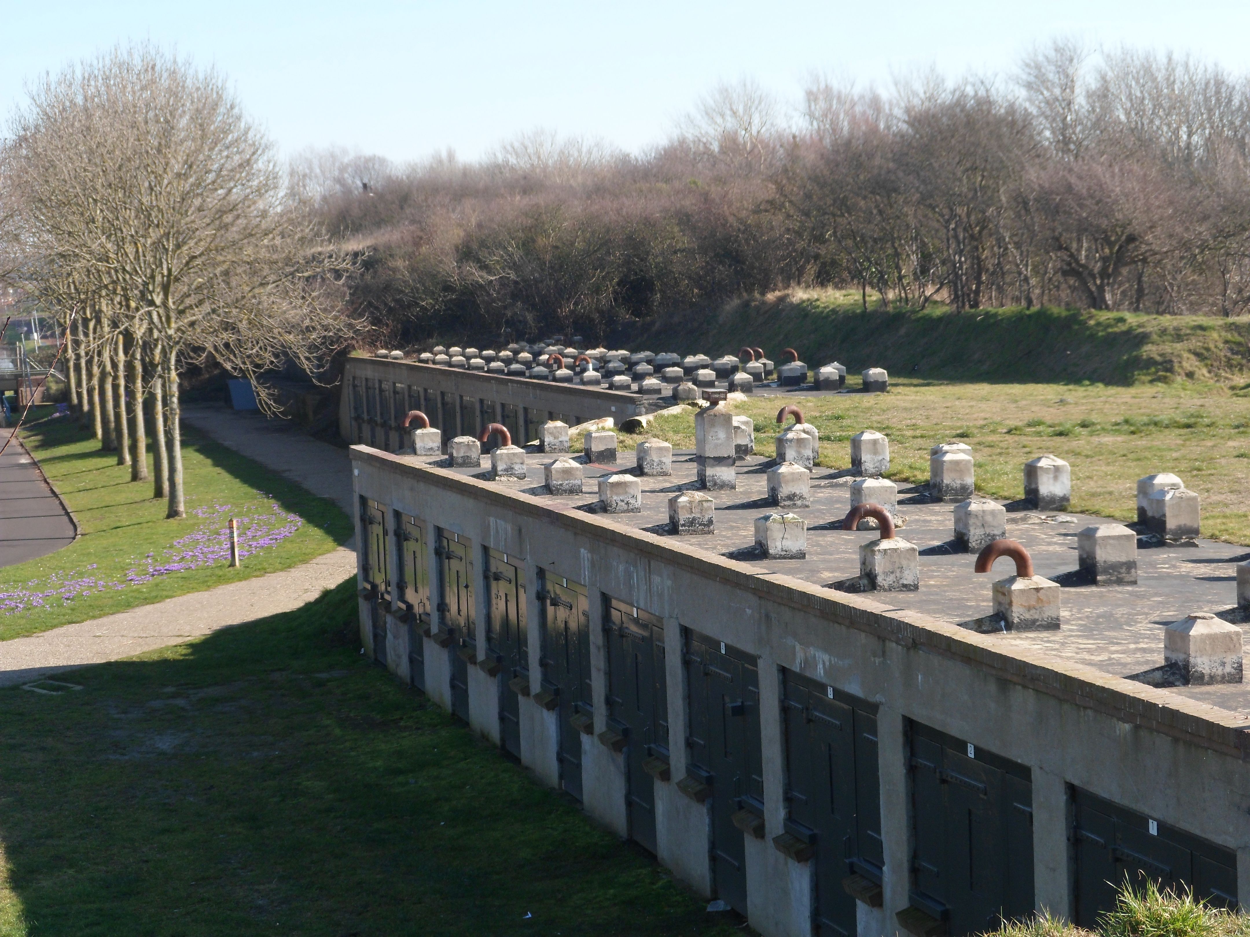 Omgeving