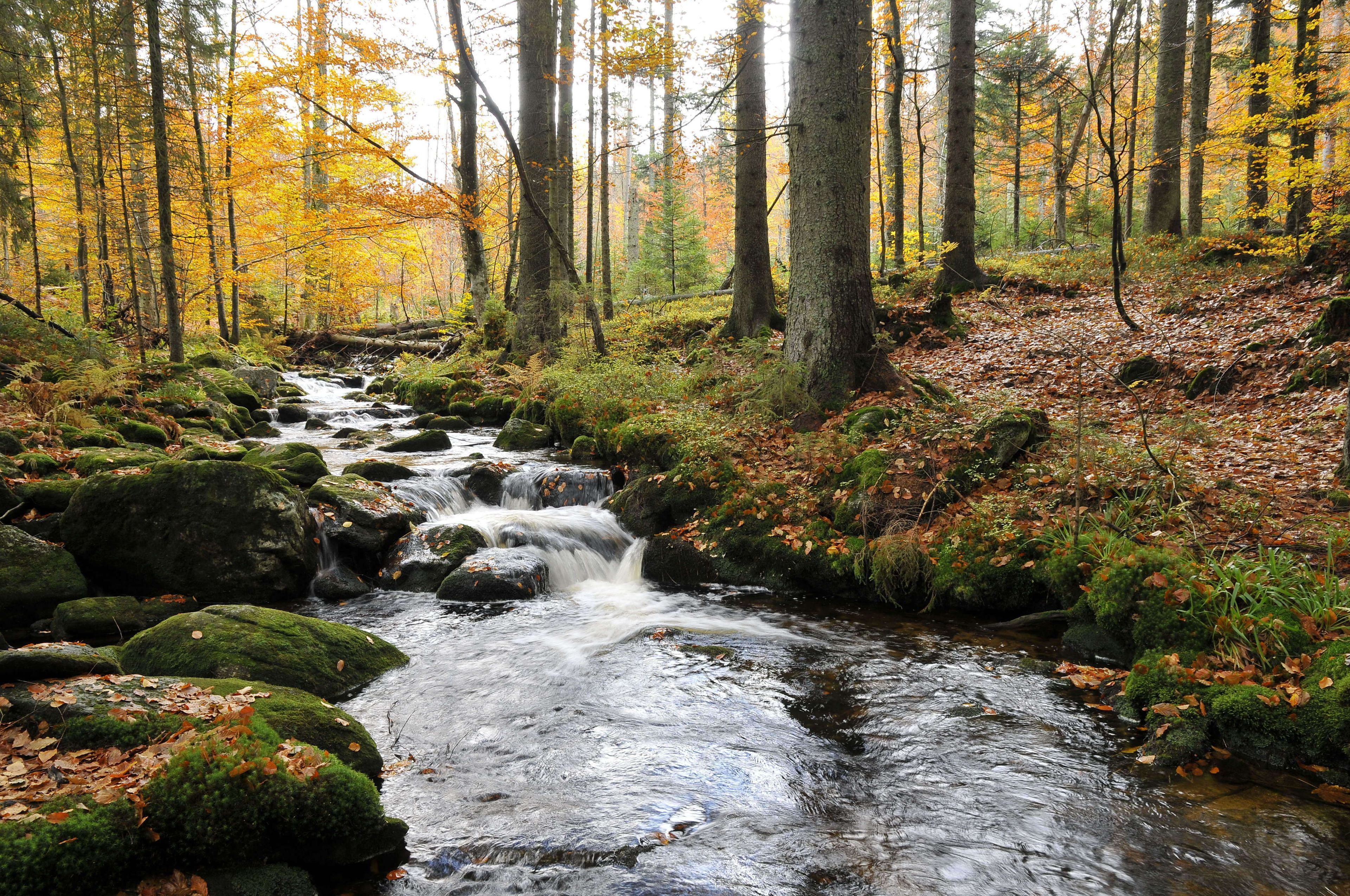 Omgeving