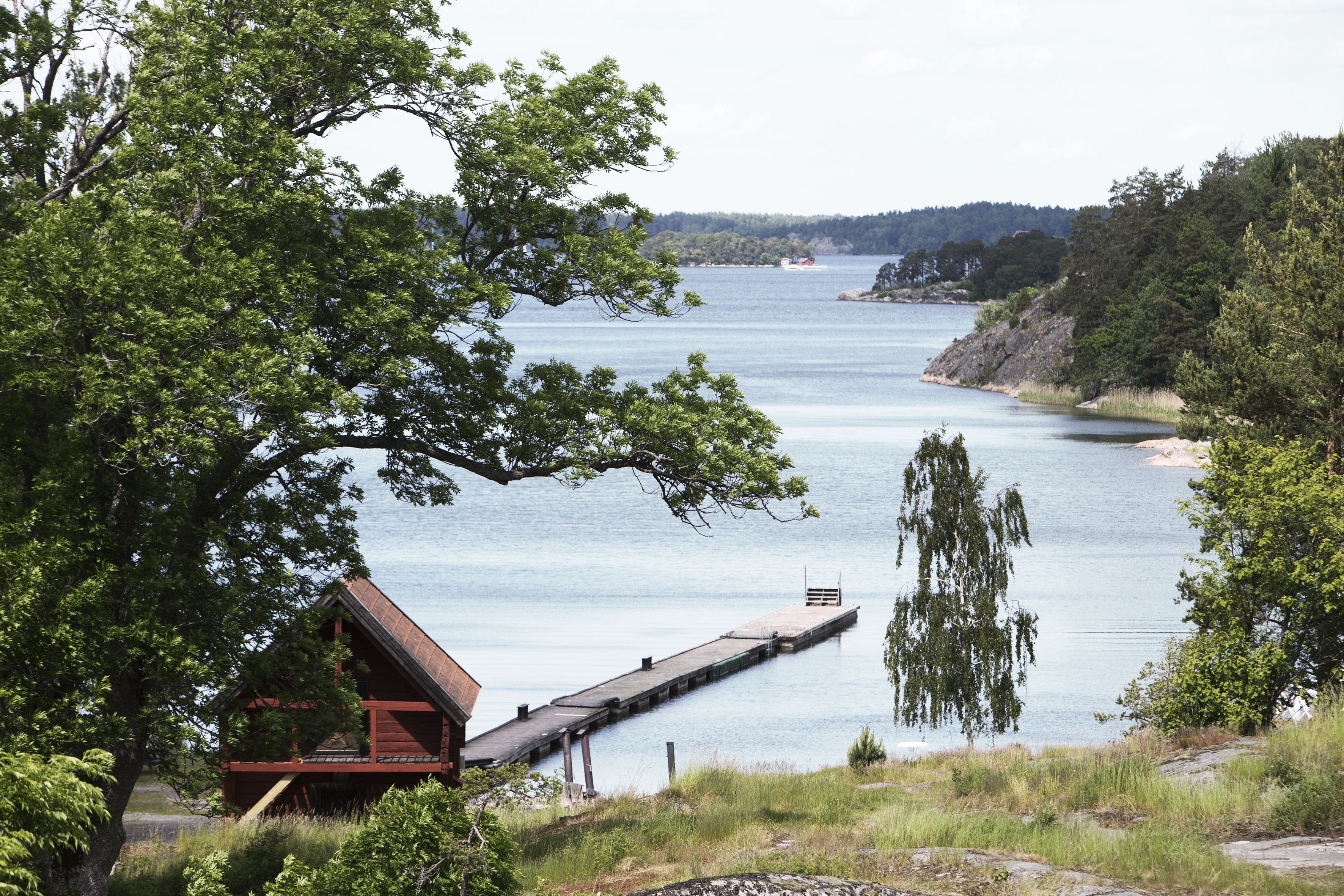 Omgeving