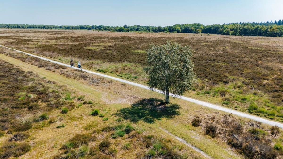 Omgeving