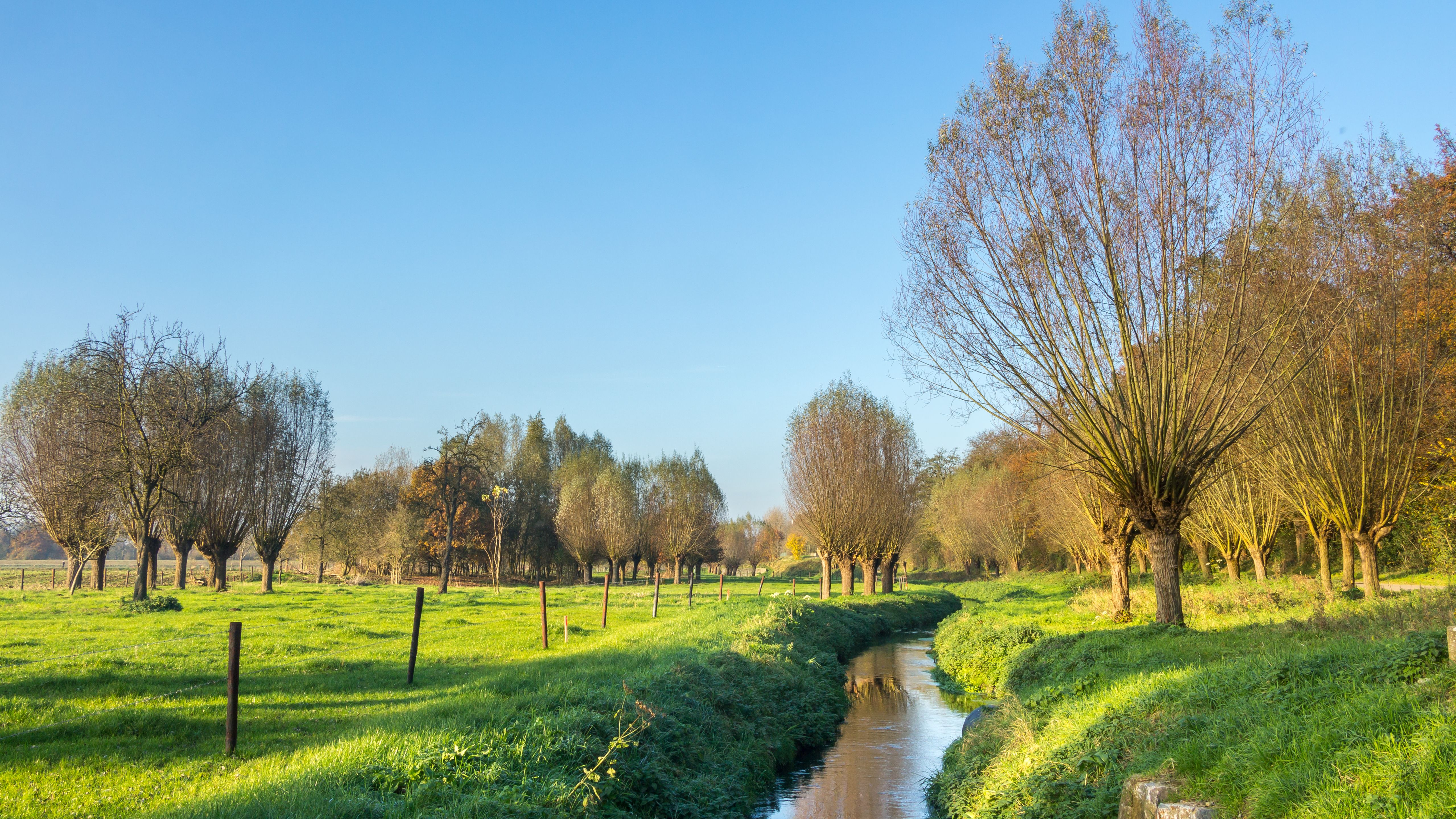 Omgeving
