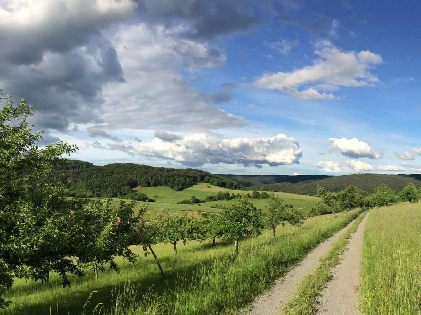 Omgeving