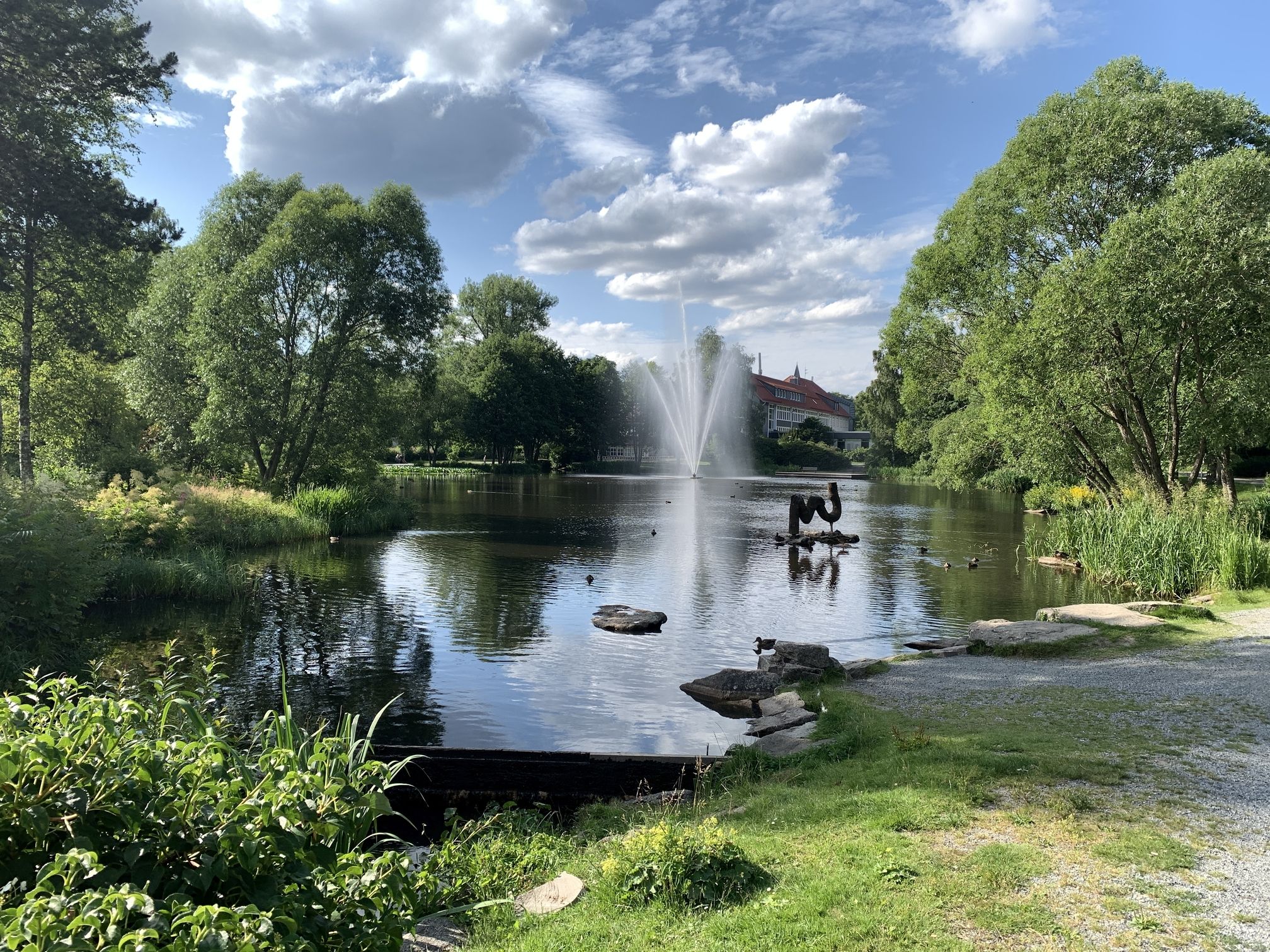 Omgeving