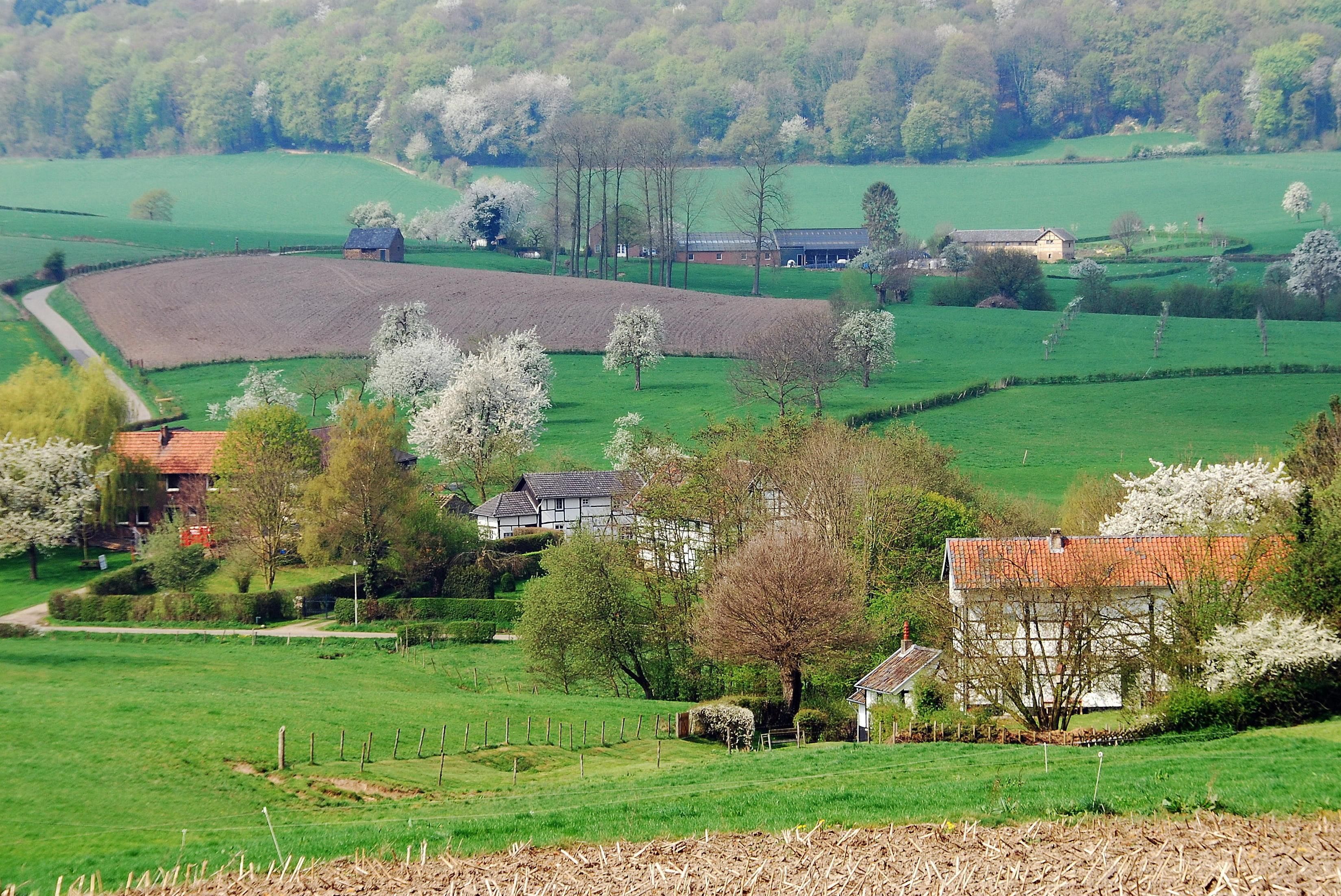 Omgeving