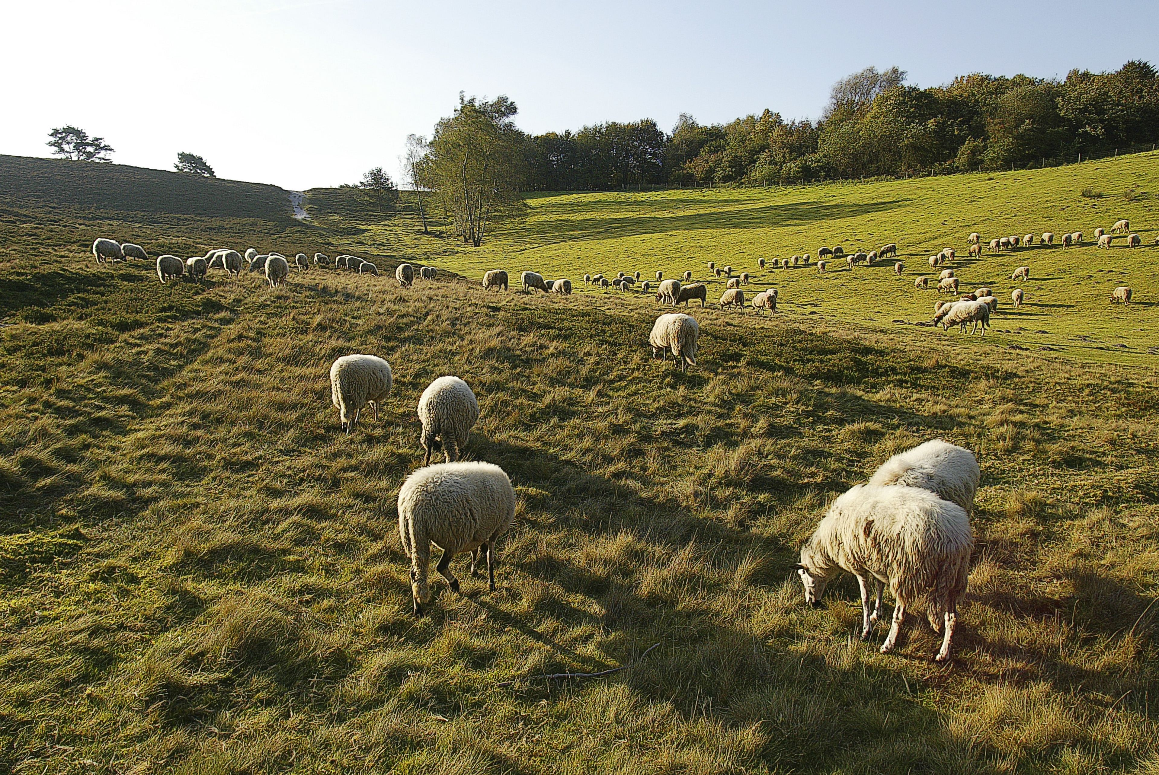 Omgeving