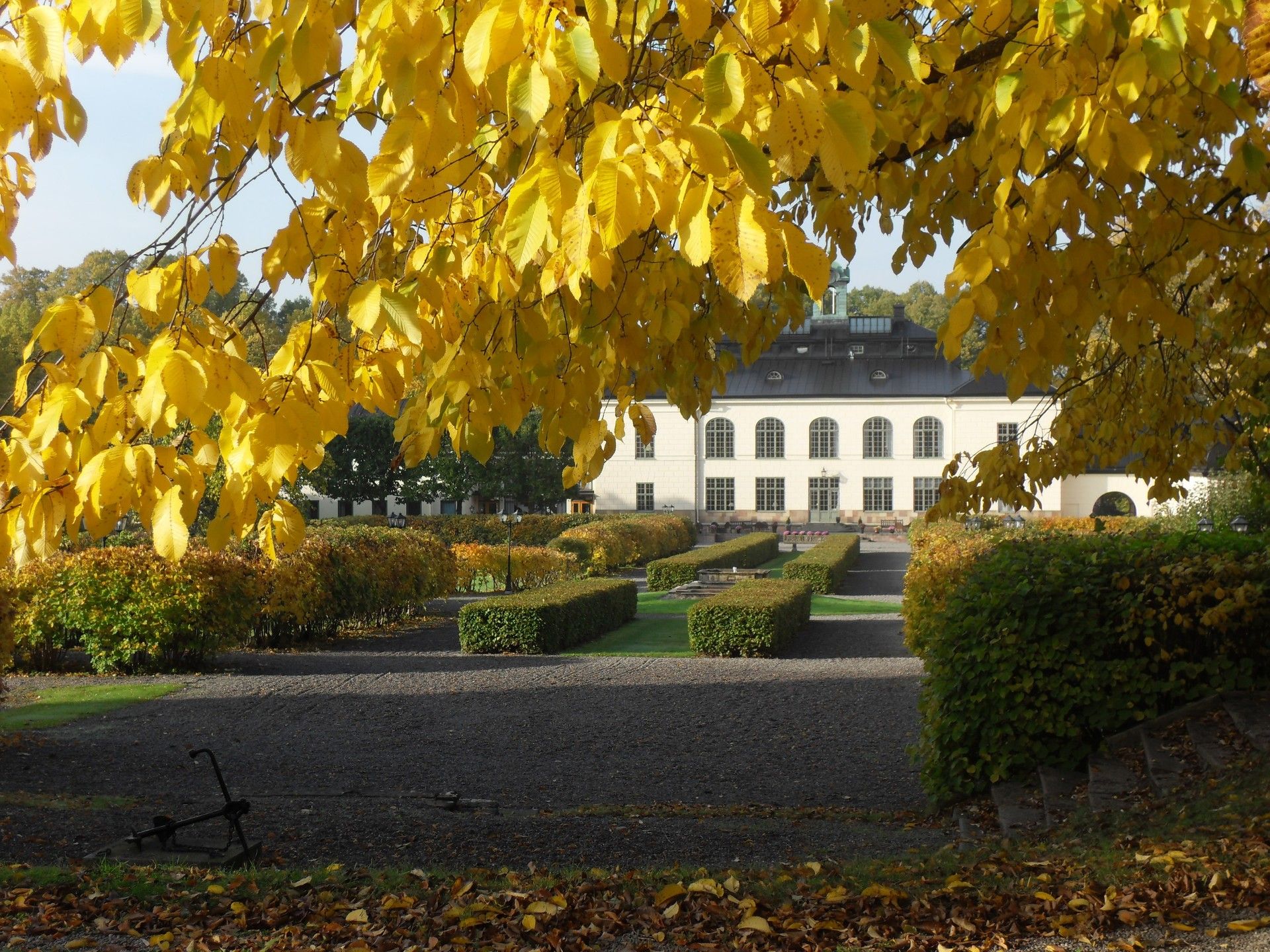 Omgeving