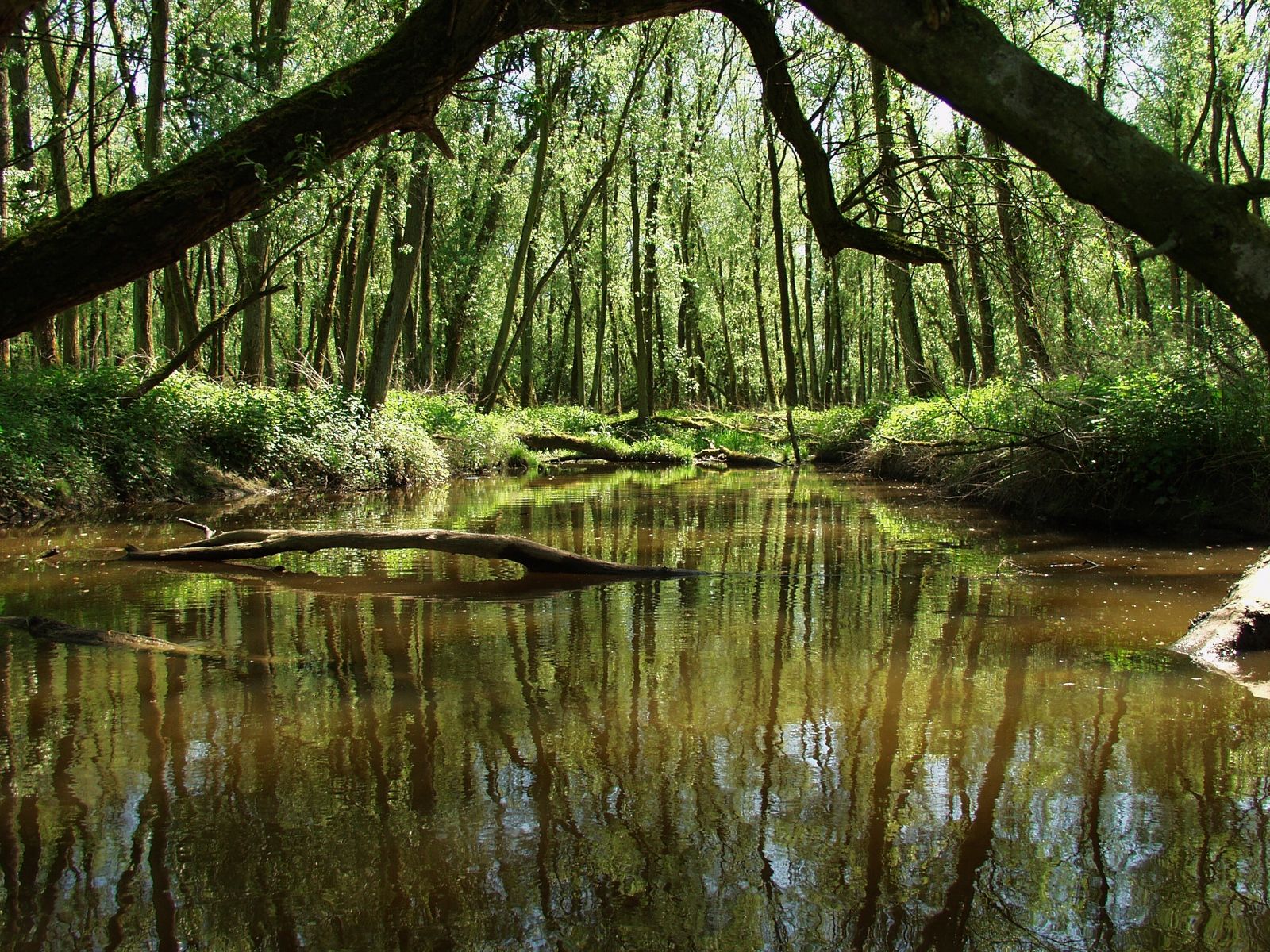 Omgeving