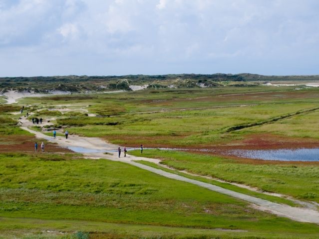 Omgeving