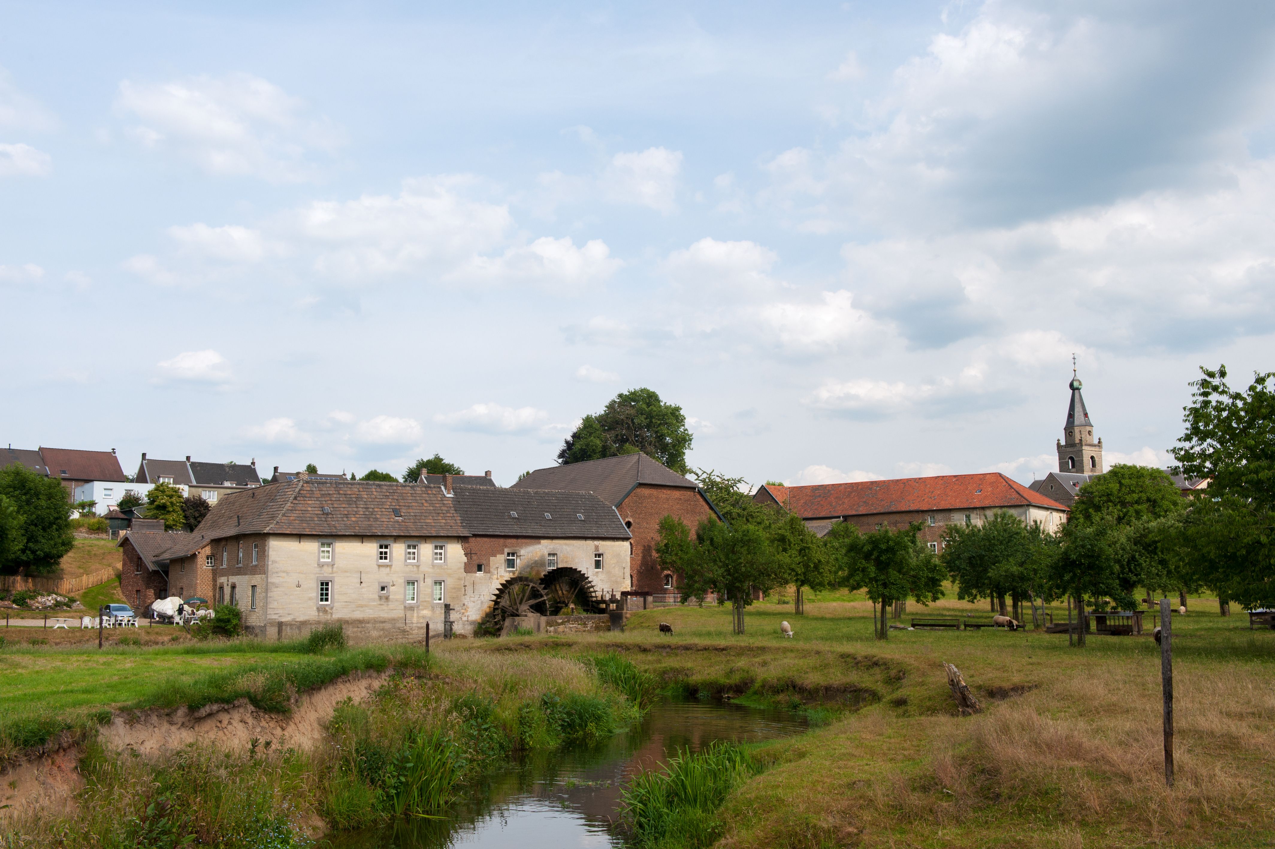Omgeving