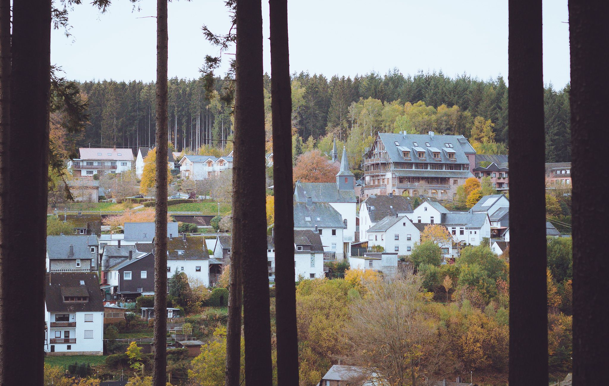 Omgeving