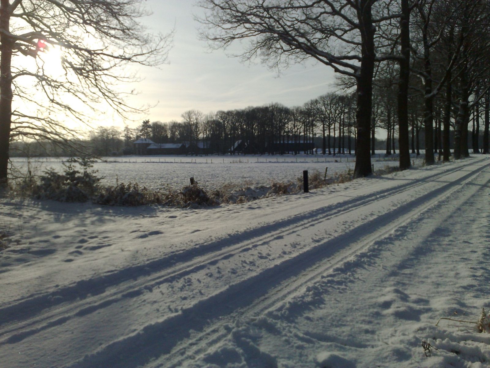 Omgeving