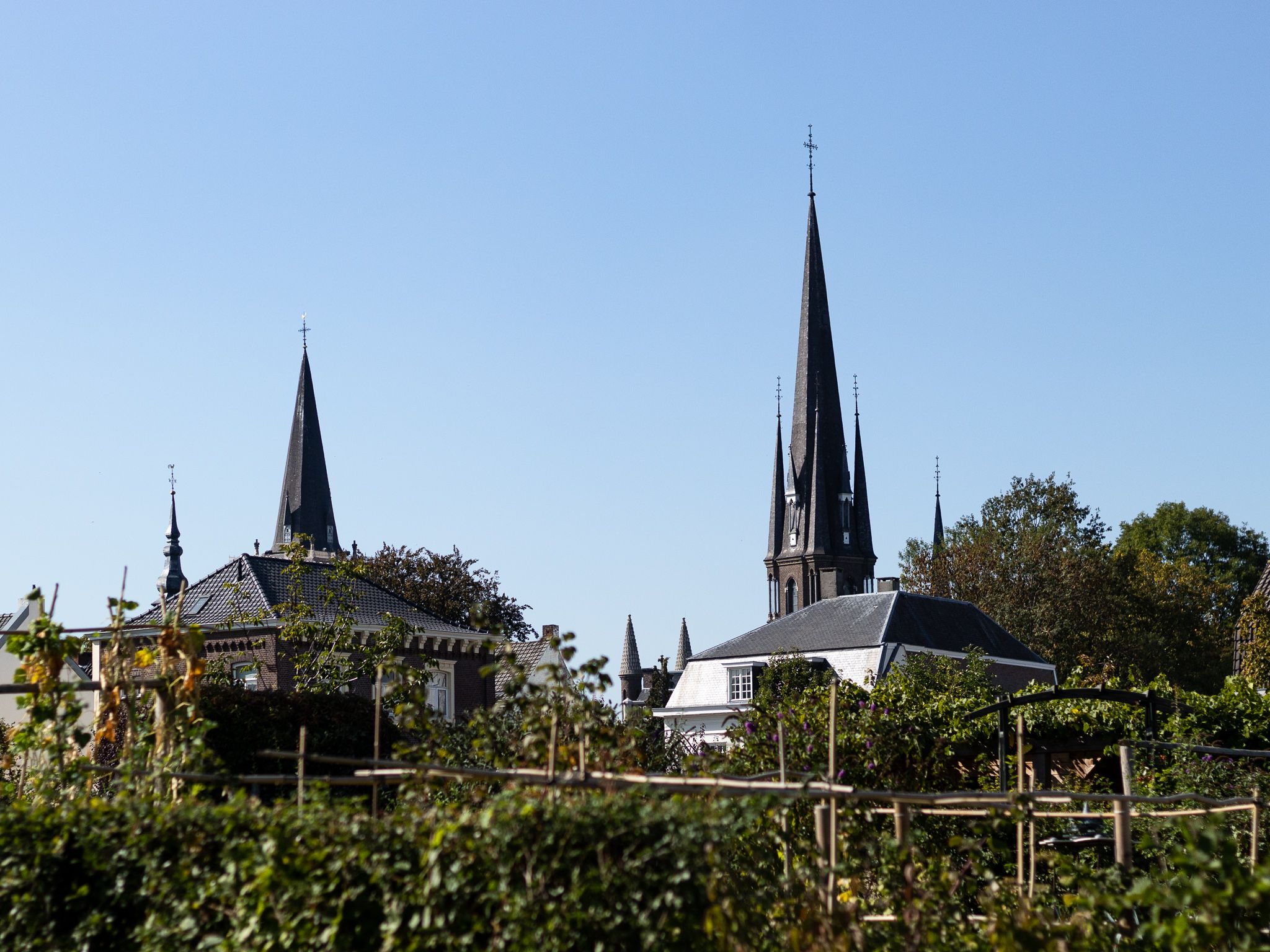 Omgeving