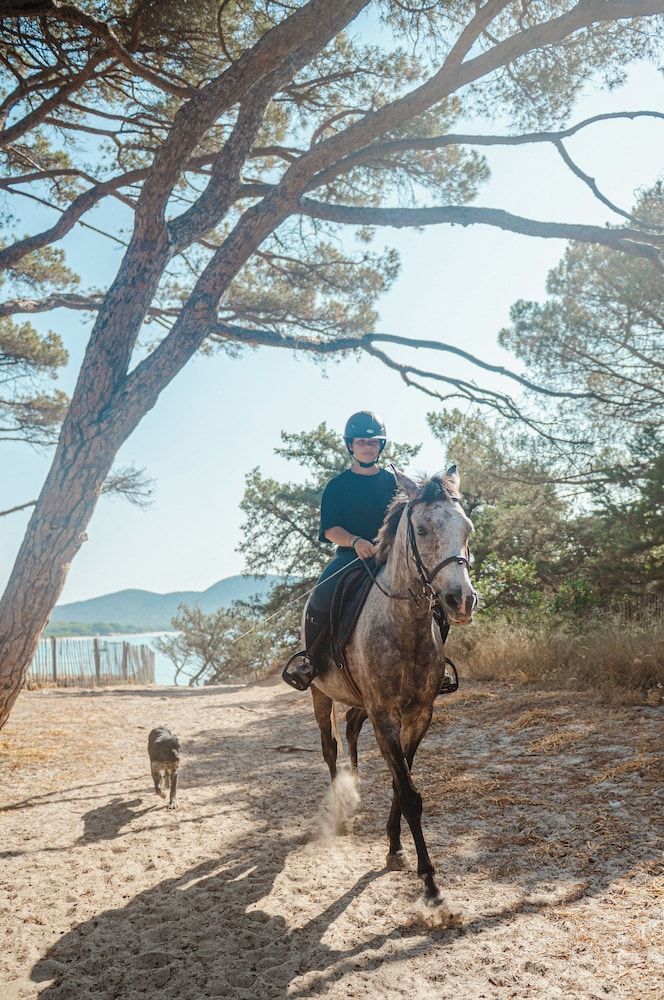 Algemeen
