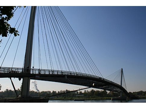Omgeving