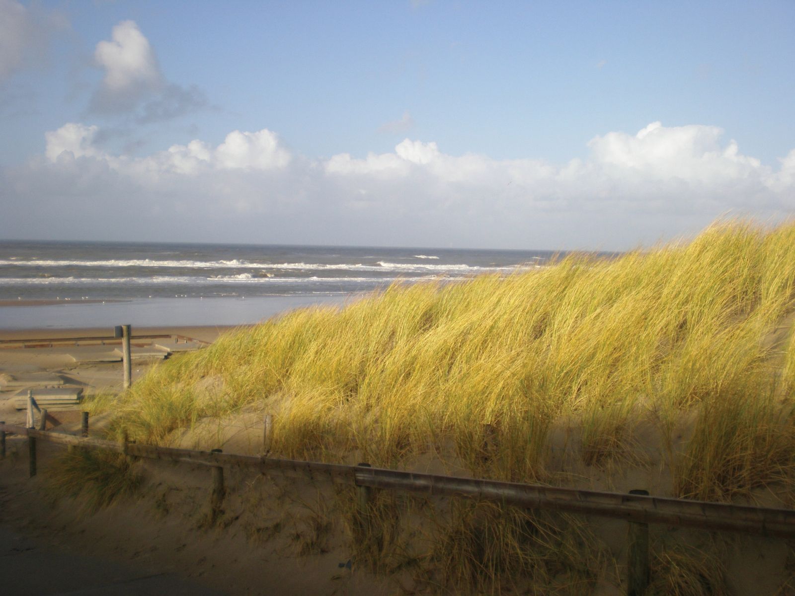 Omgeving