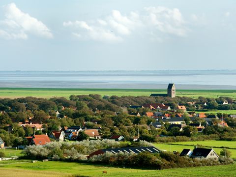 Omgeving
