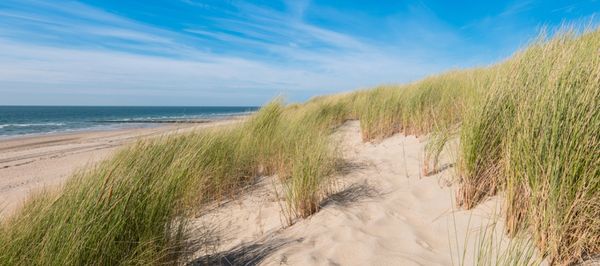 Wat te doen in Zeeland?