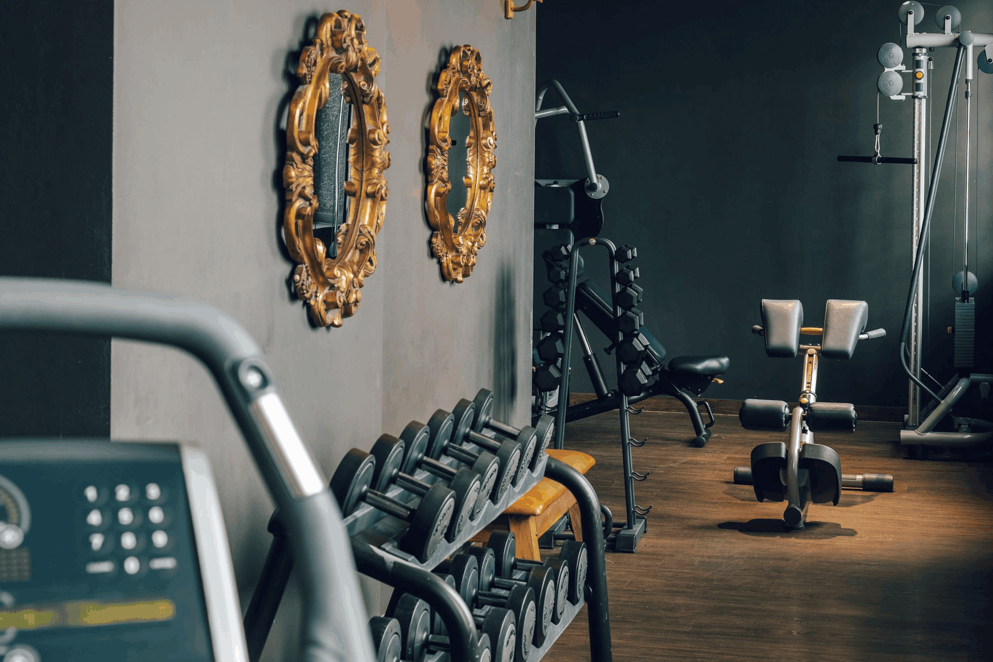 Wellness
