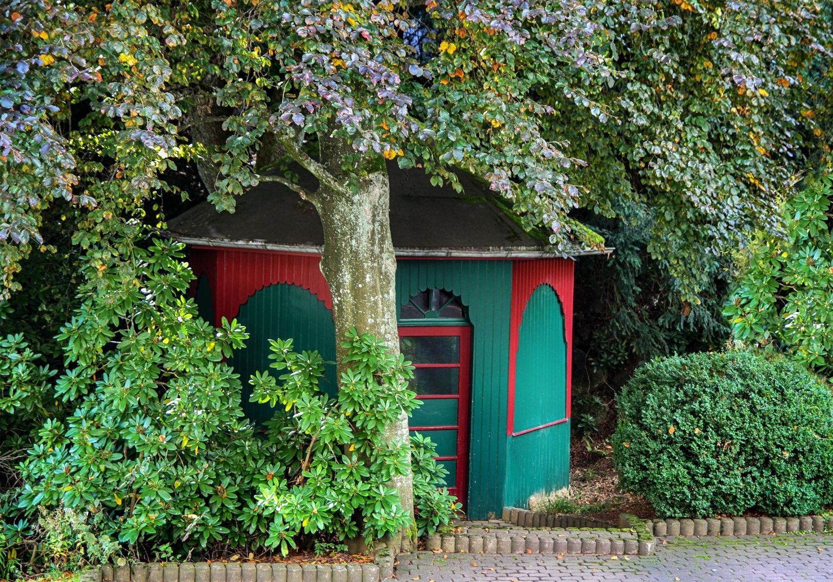 Omgeving