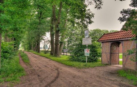 Omgeving