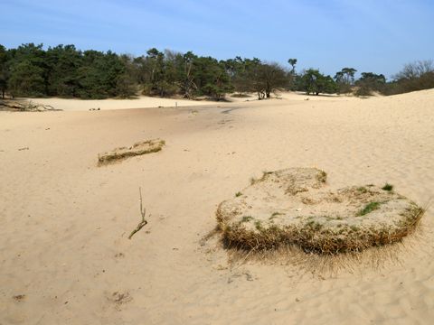 Omgeving