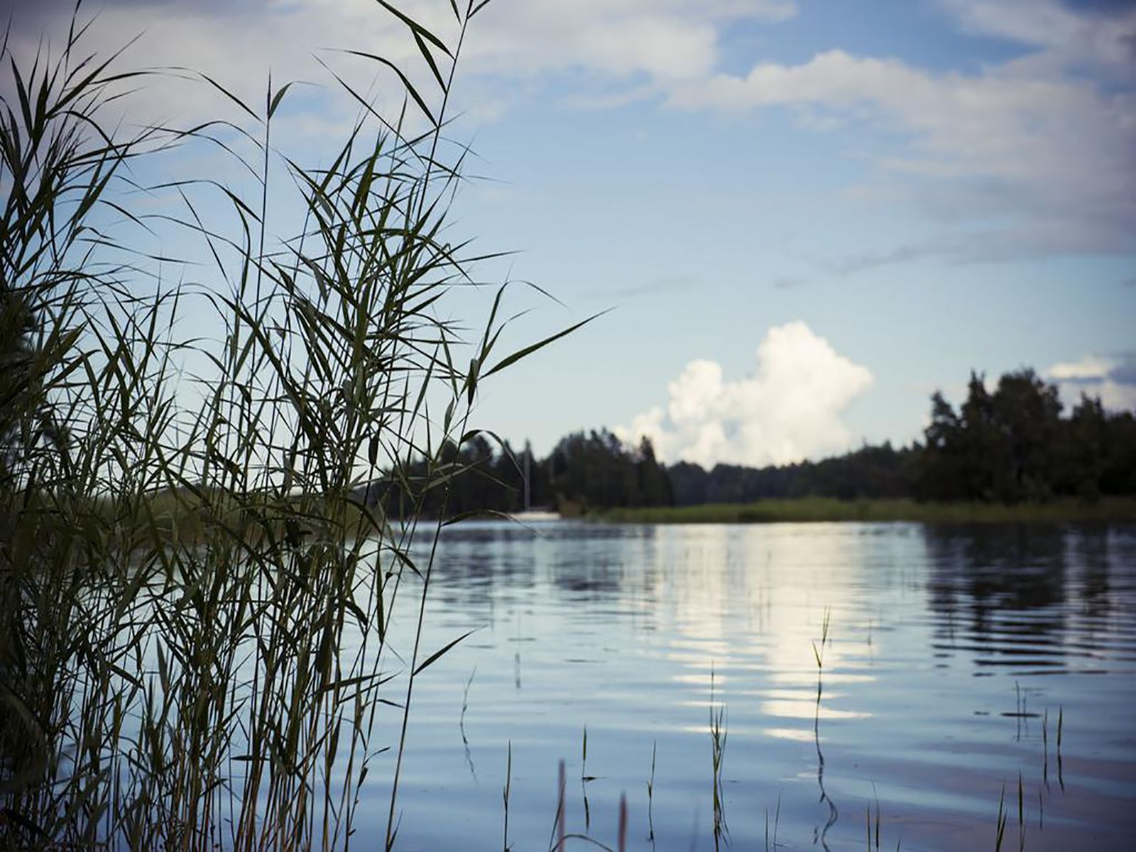 Omgeving