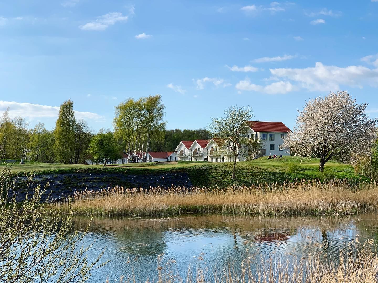 Omgeving