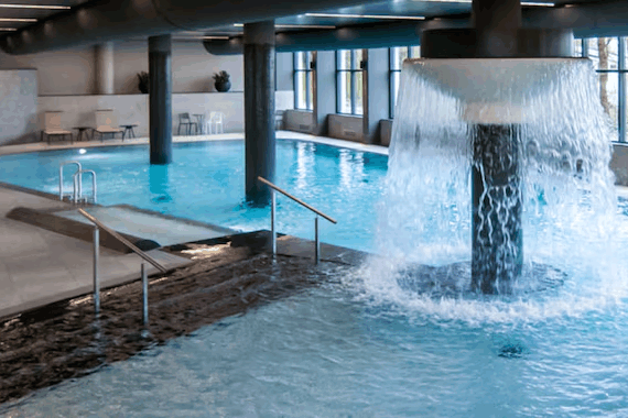 Wellness