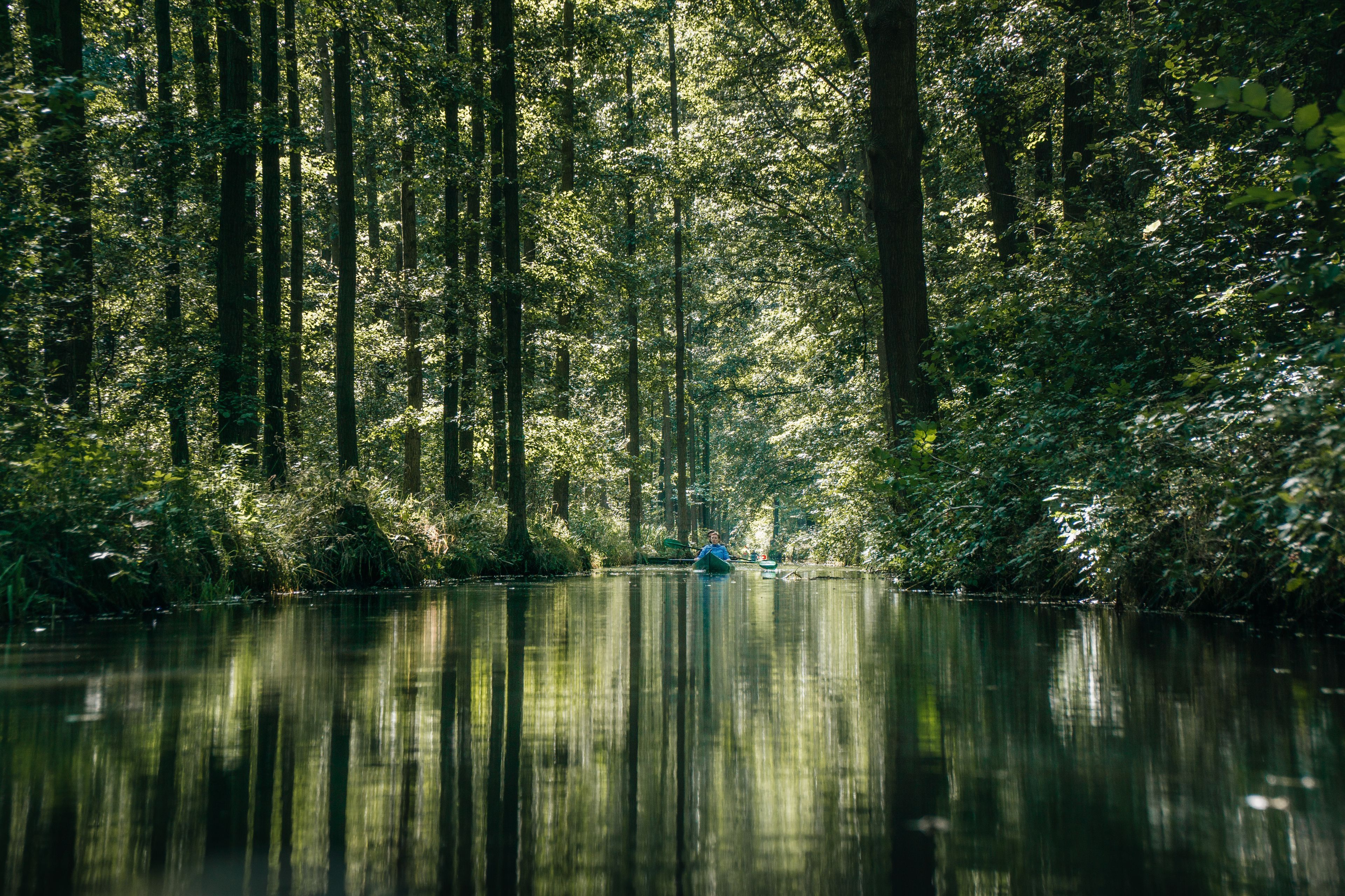 Omgeving