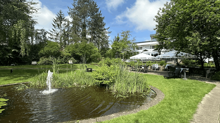 Omgeving