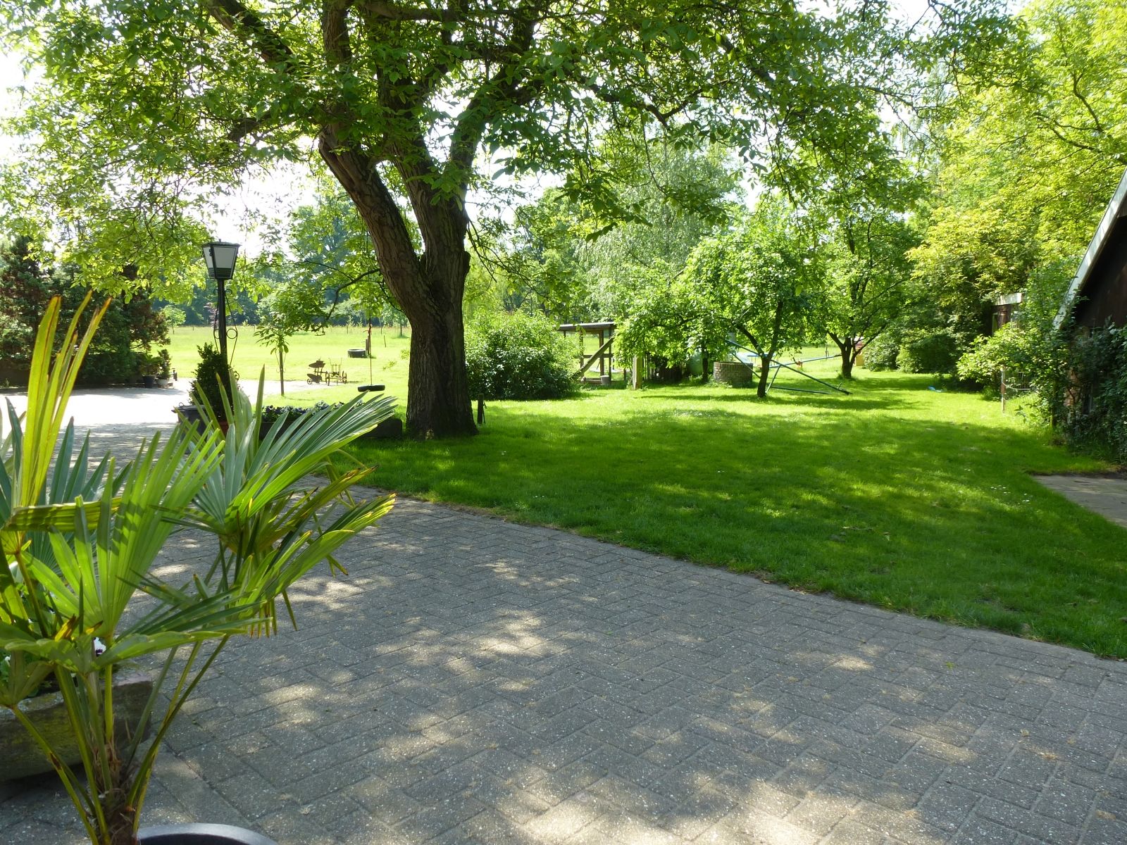 Omgeving