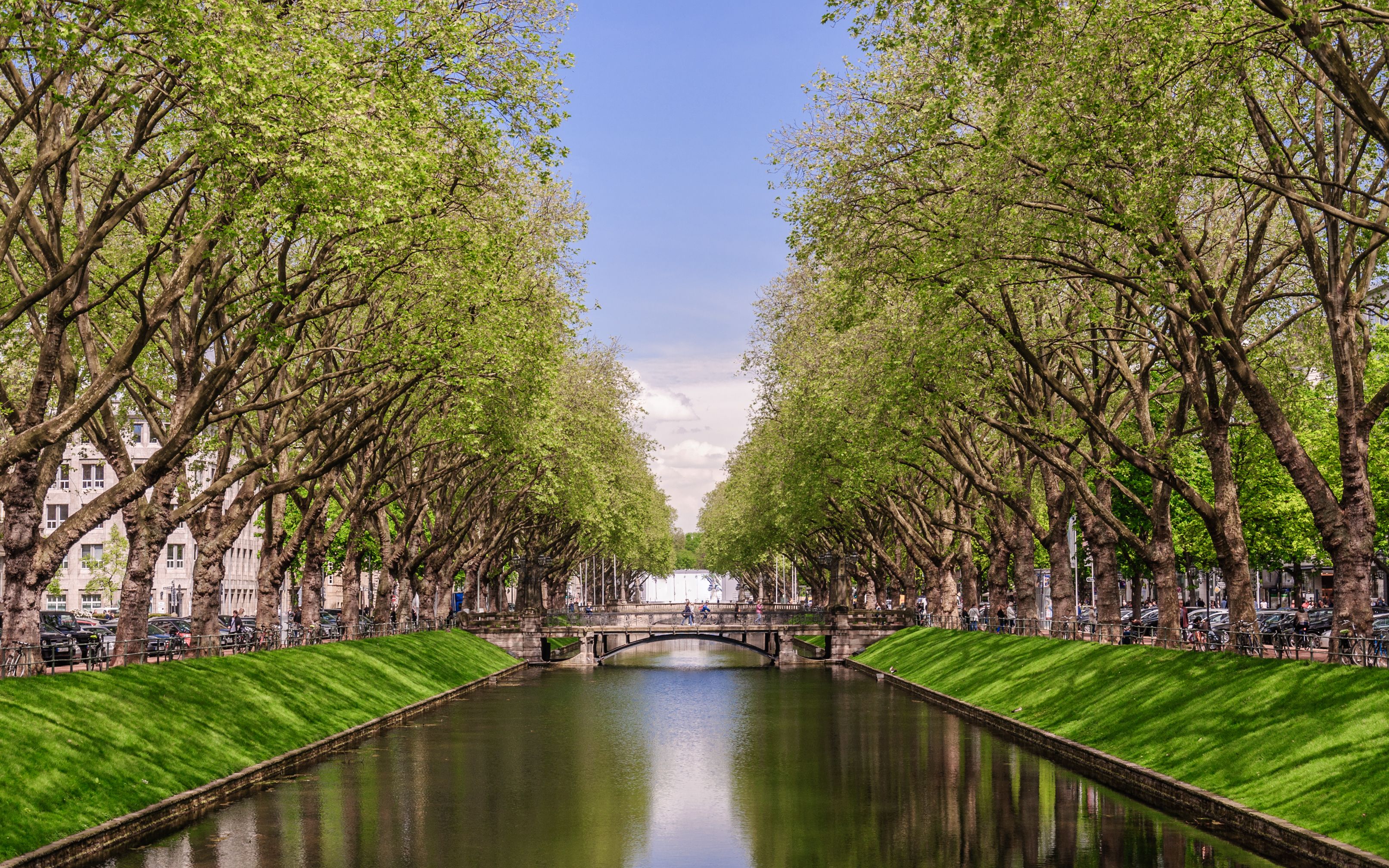 Omgeving