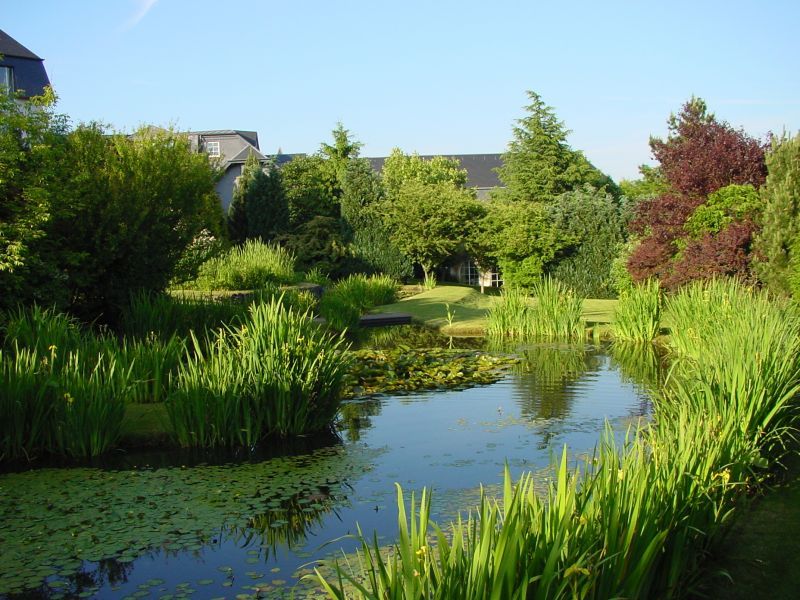 Omgeving