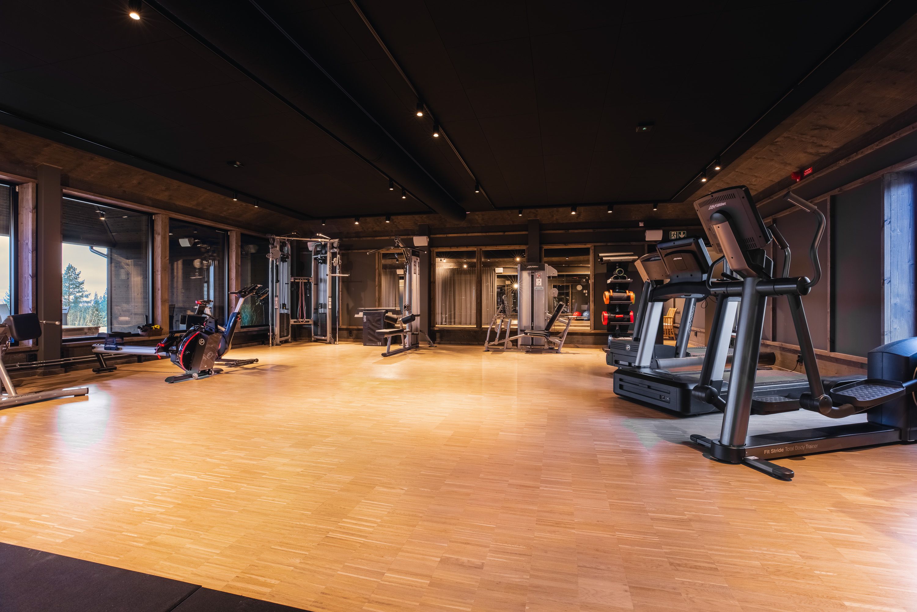 Wellness