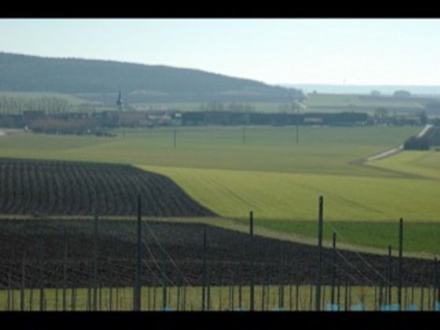 Omgeving