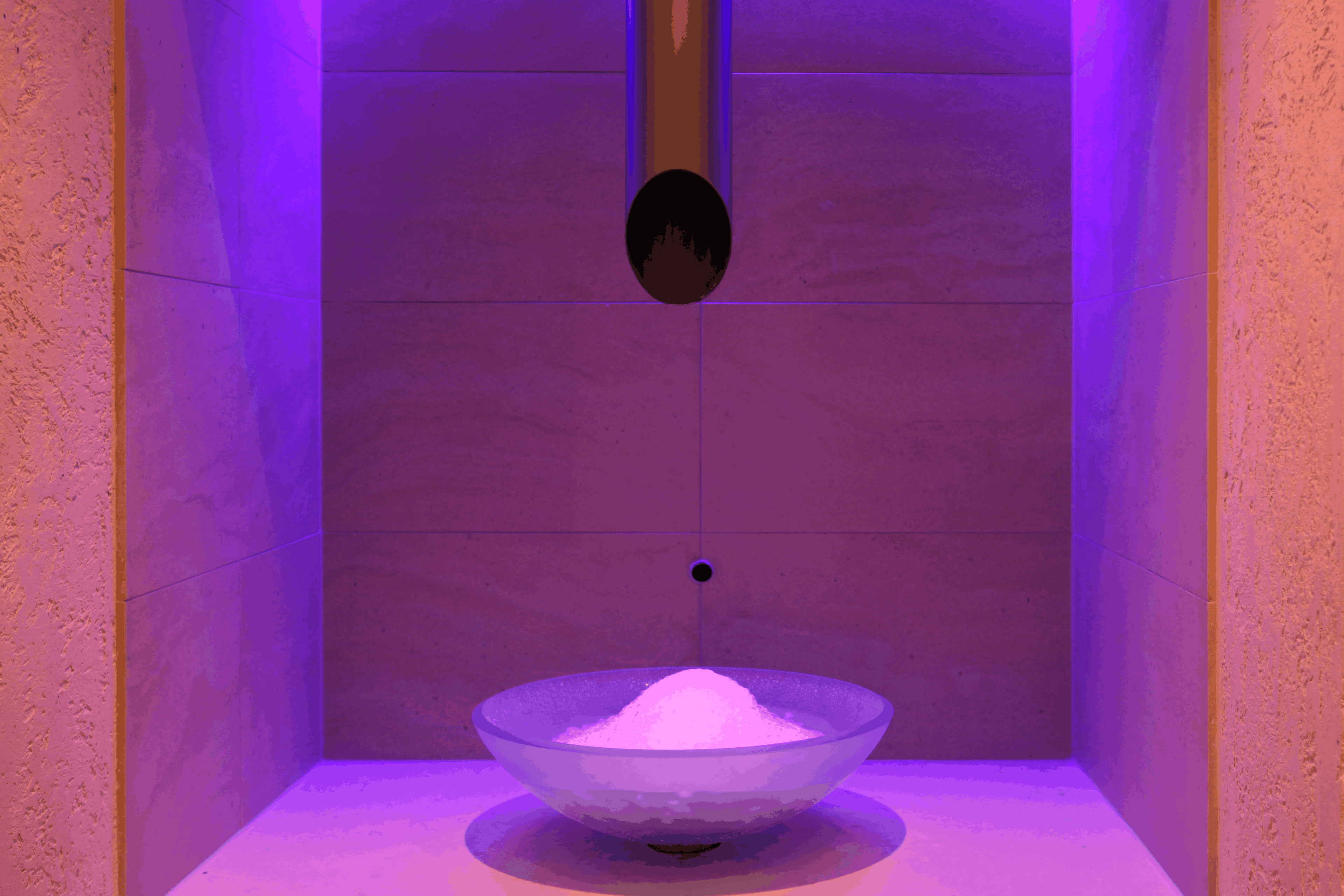 Wellness