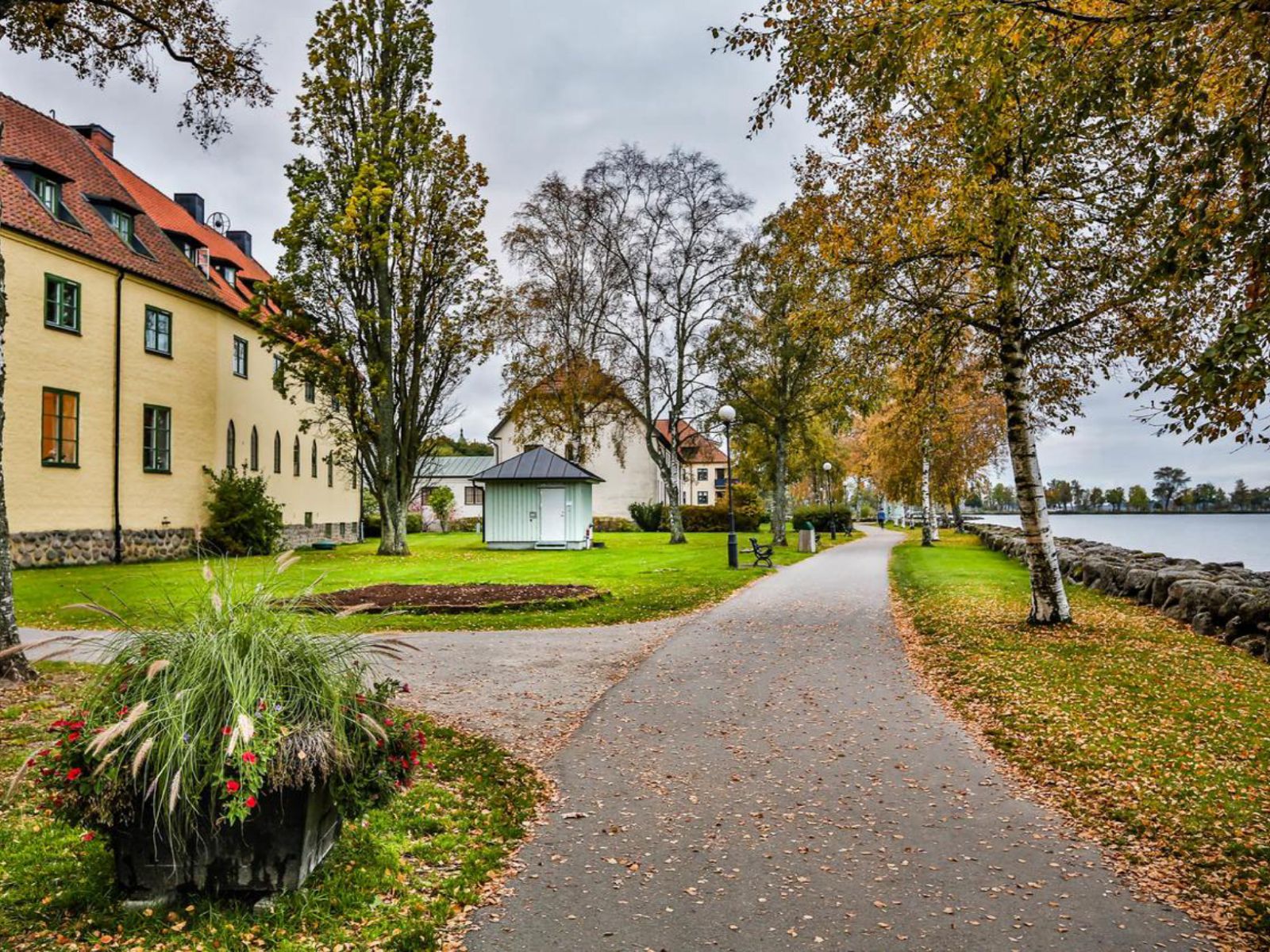 Omgeving