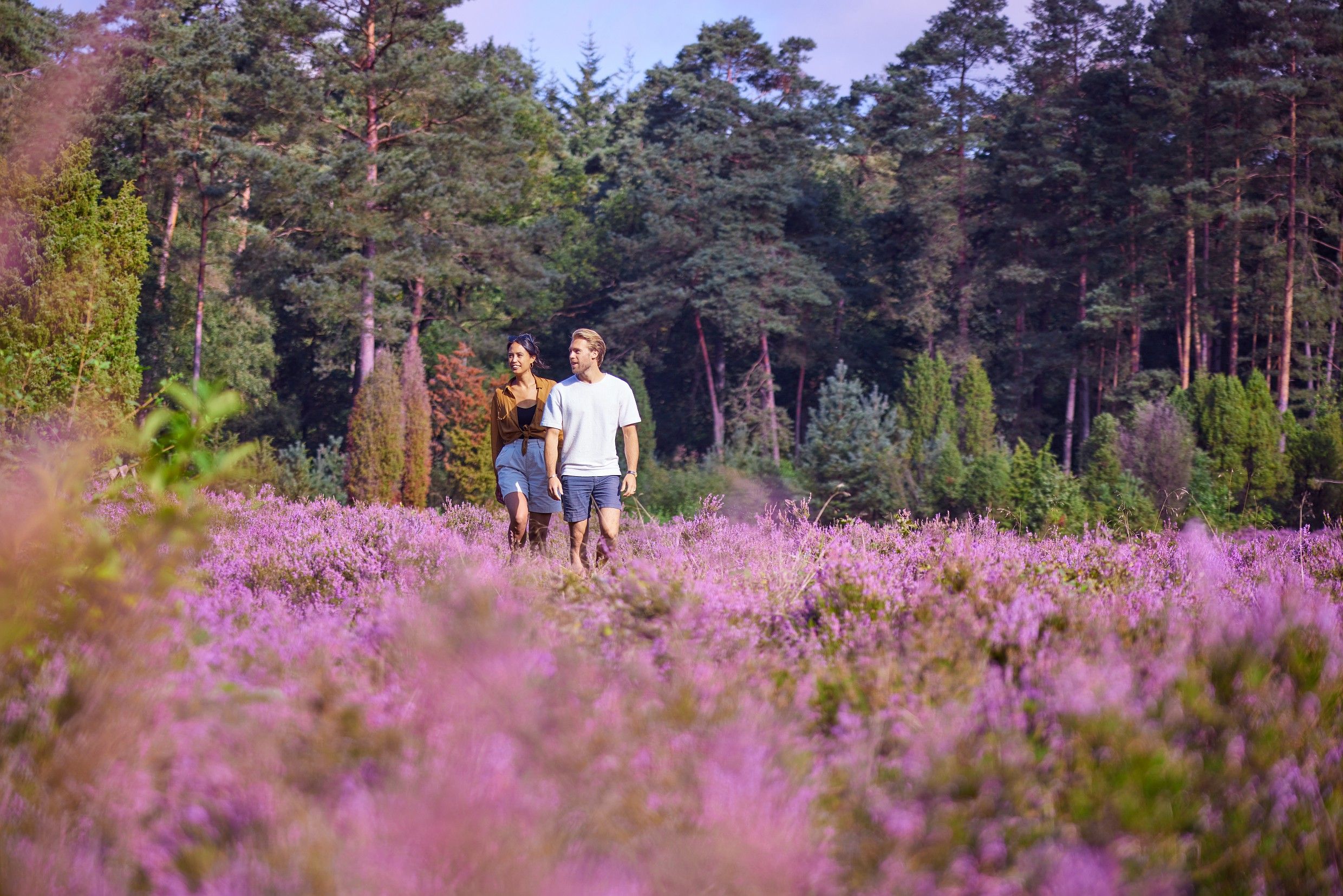 Omgeving