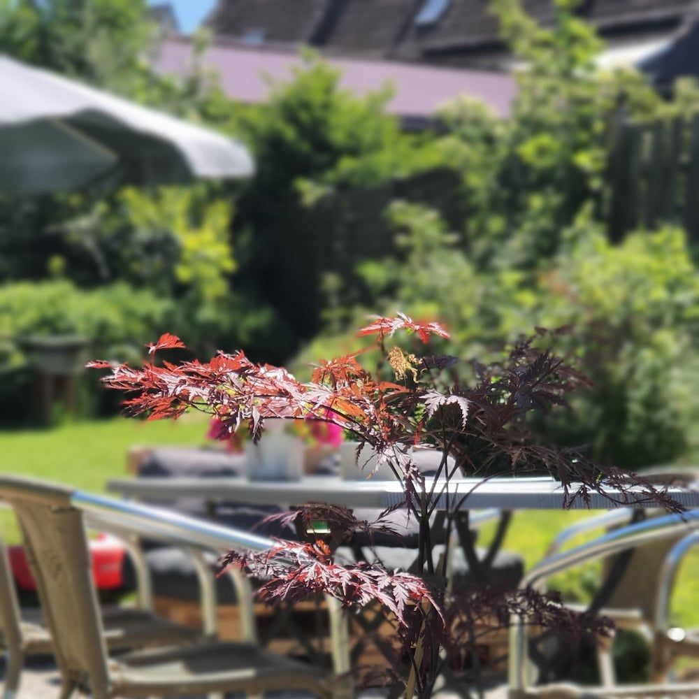 Algemeen