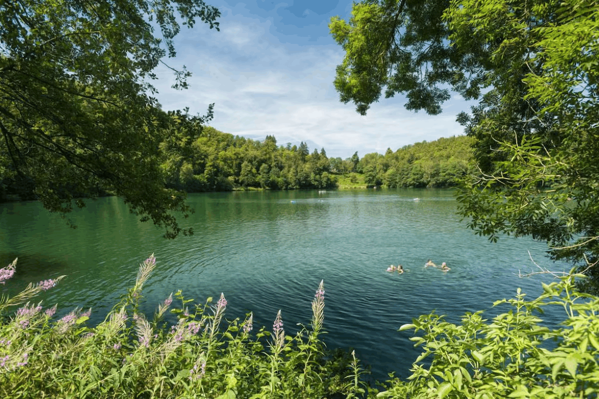 Omgeving
