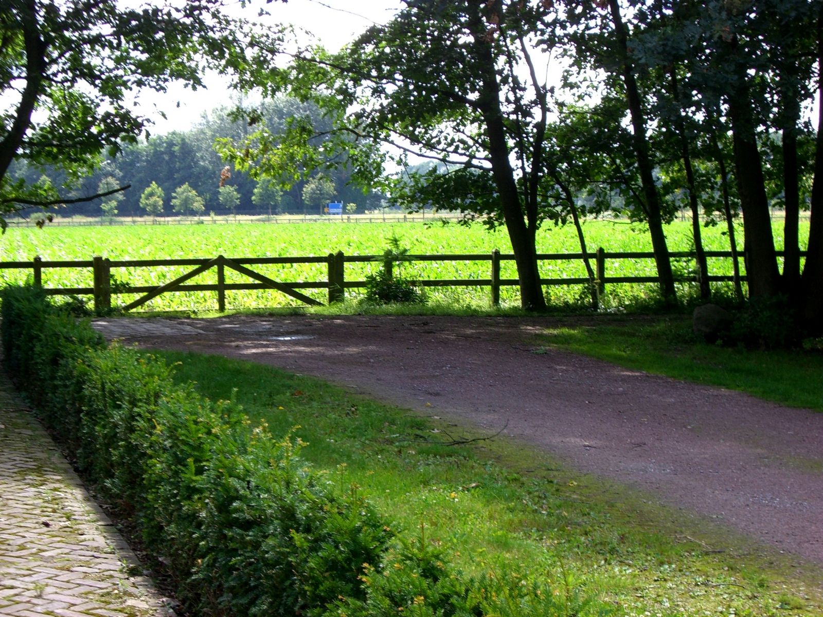 Omgeving