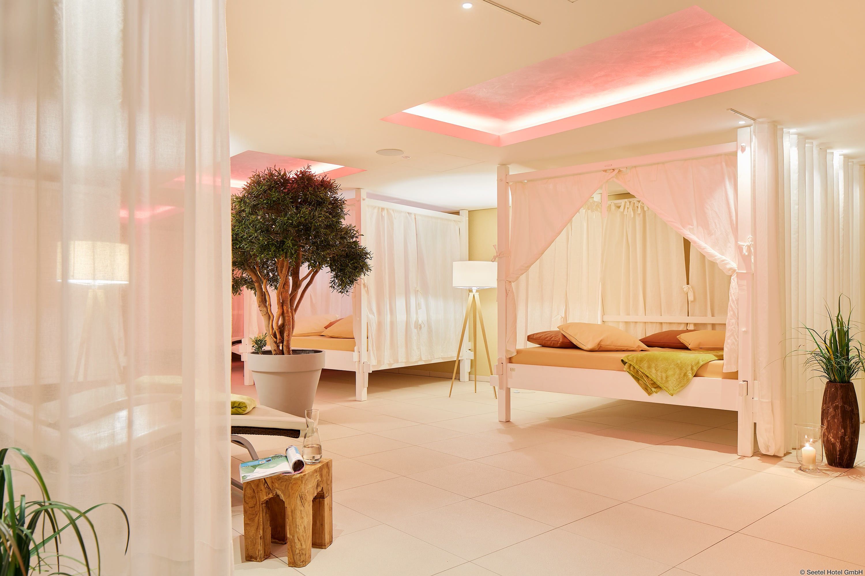 Wellness