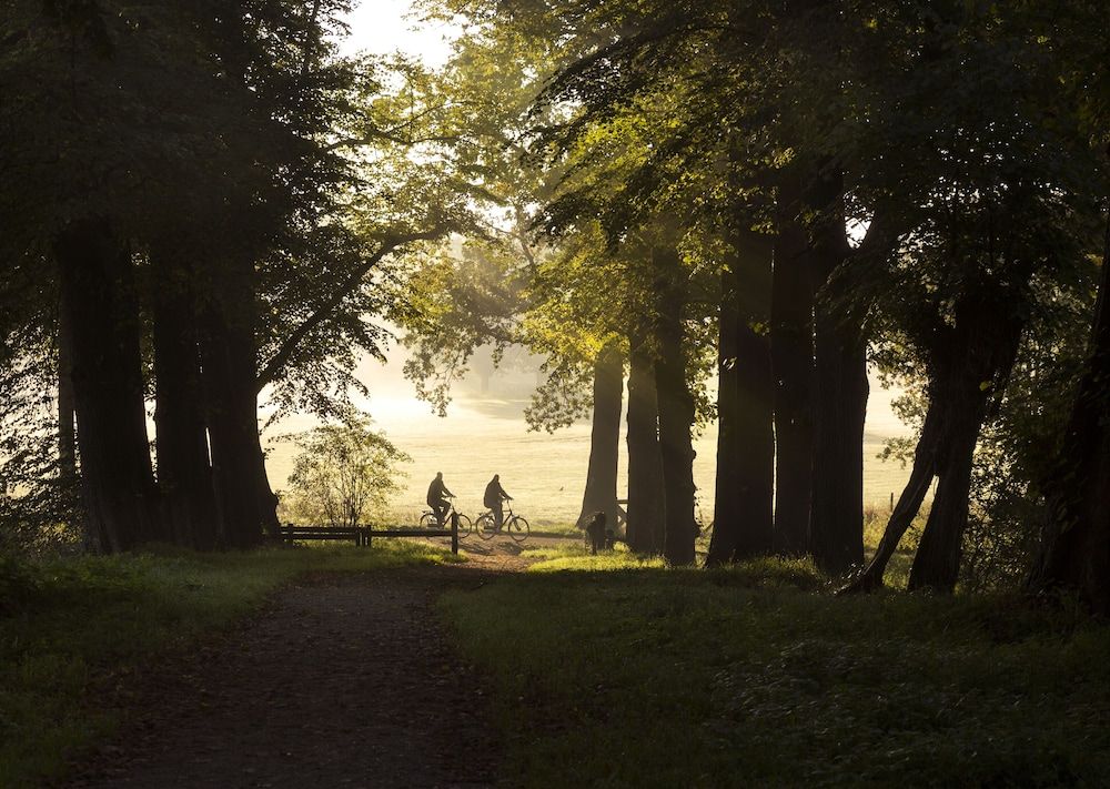 Algemeen